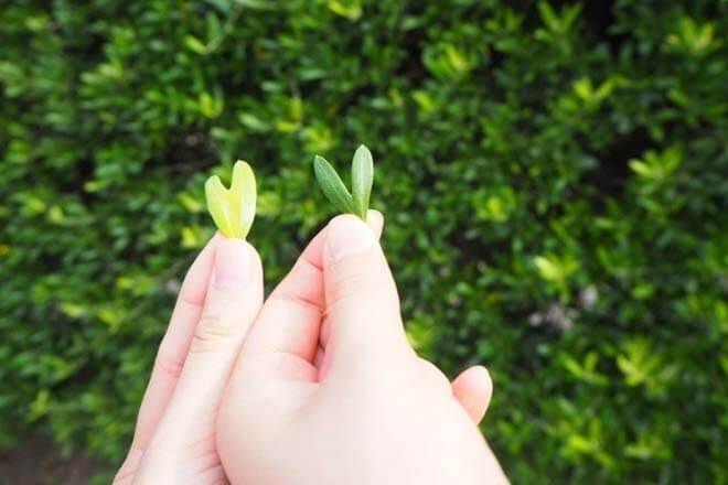 あの人と結婚できますか？【2人の結婚相性・生活相性】運命の行方