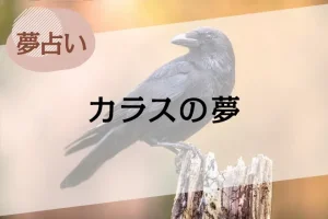 【夢占い】カラスの夢の意味44選。カラスの群れなど、状況別に解説