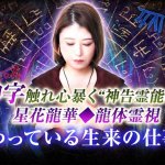 あなたのキャリア霊視【仕事の成功に繋がる能力】活かし方/次の展望