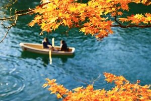 接点少ないあの人(それでも交際できますか?)相手の本音&展開
