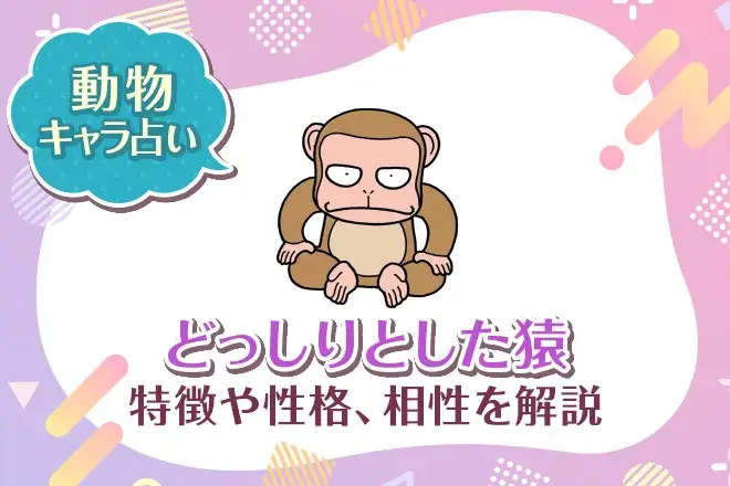 動物キャラ占い【どっしりとした猿】特徴・性格・相性を解説