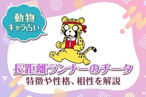 動物キャラ占い【長距離ランナーのチータ】特徴・性格・相性を解説