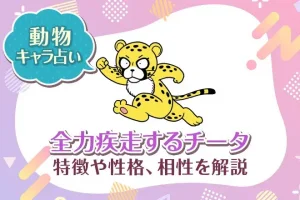 動物キャラ占い【全力疾走するチータ】特徴・性格・相性を解説
