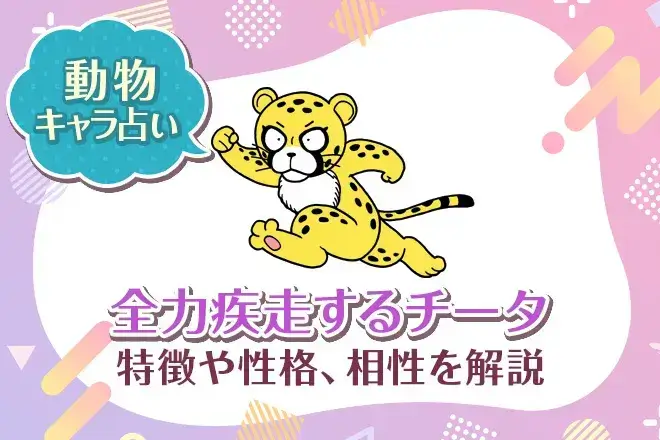動物キャラ占い【全力疾走するチータ】特徴・性格・相性を解説