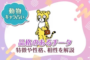 動物キャラ占い【品格のあるチータ】特徴・性格・相性を解説