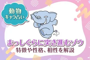 動物キャラ占い【まっしぐらに突き進むゾウ】特徴・性格・相性を解説