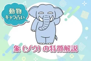 動物キャラ占い【ゾウ】の特徴は？性格や恋愛、仕事、相性を解説